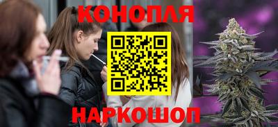 ешки Новокубанск