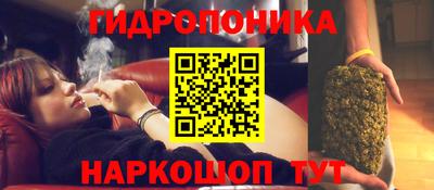 дживик Новодвинск
