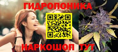 MDMA Новозыбков