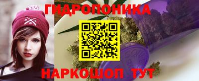 ешки Новокубанск